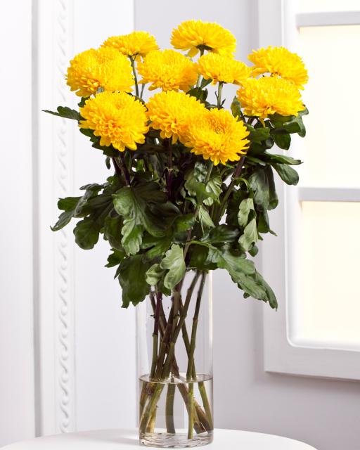 Chrysanthemums